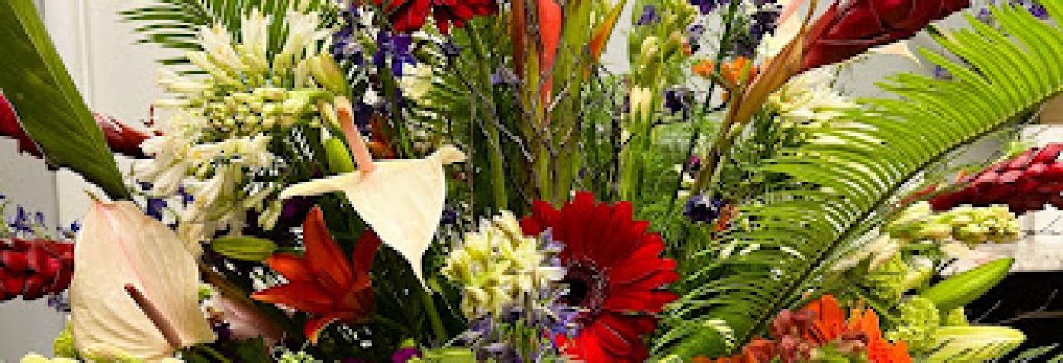 Darien Flowers