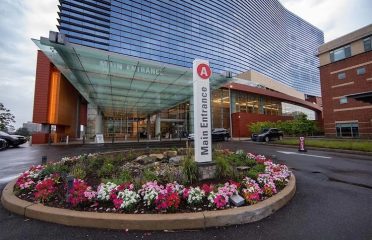 Stamford Health Medical Group Vascular Surgery
