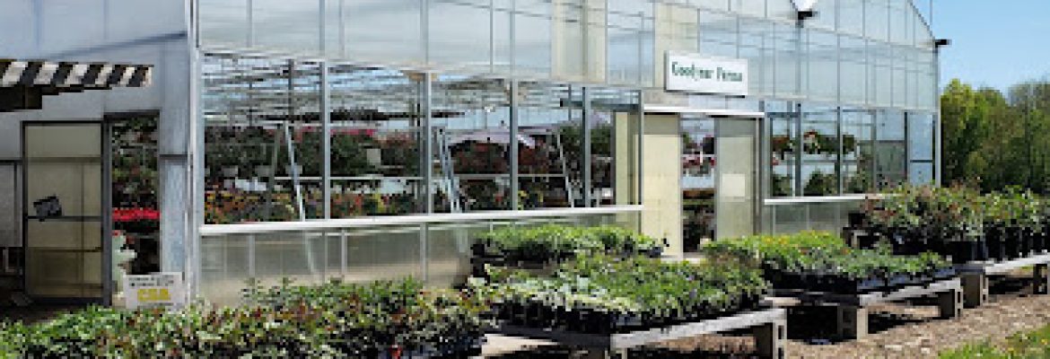 Clark Farms Greenhouses