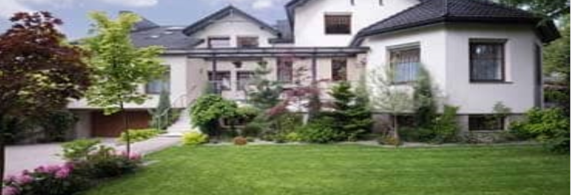 Green Carpet Lawn Care LLC