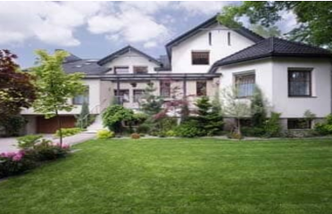 Green Carpet Lawn Care LLC
