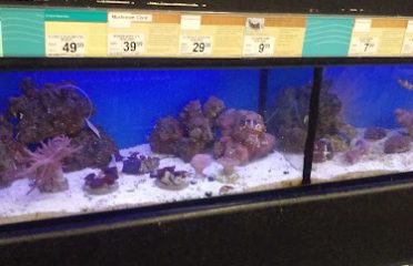 Petco