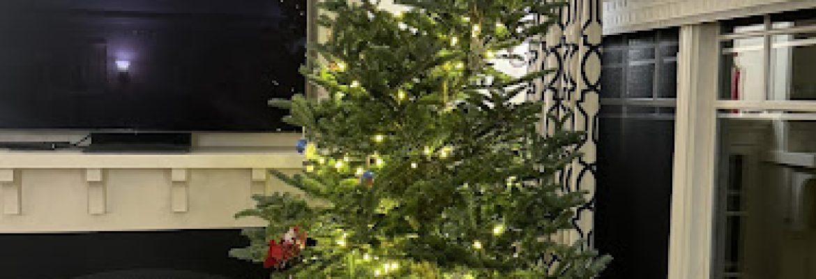 J Chris Keneally Tree service Easton
