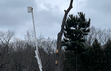 B&M Tree Service, LLC