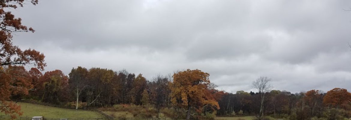 Why Not Farm, Bethlehem, CT