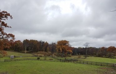 Why Not Farm, Bethlehem, CT
