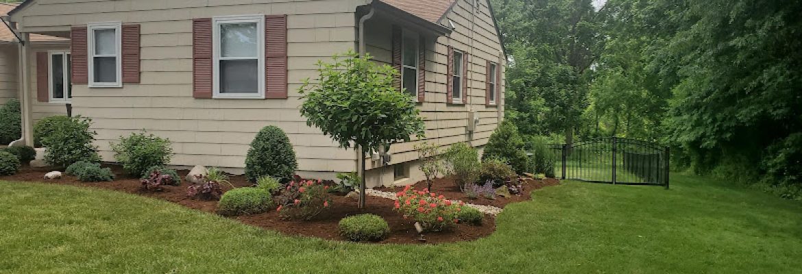 Creative Exteriors Landscp