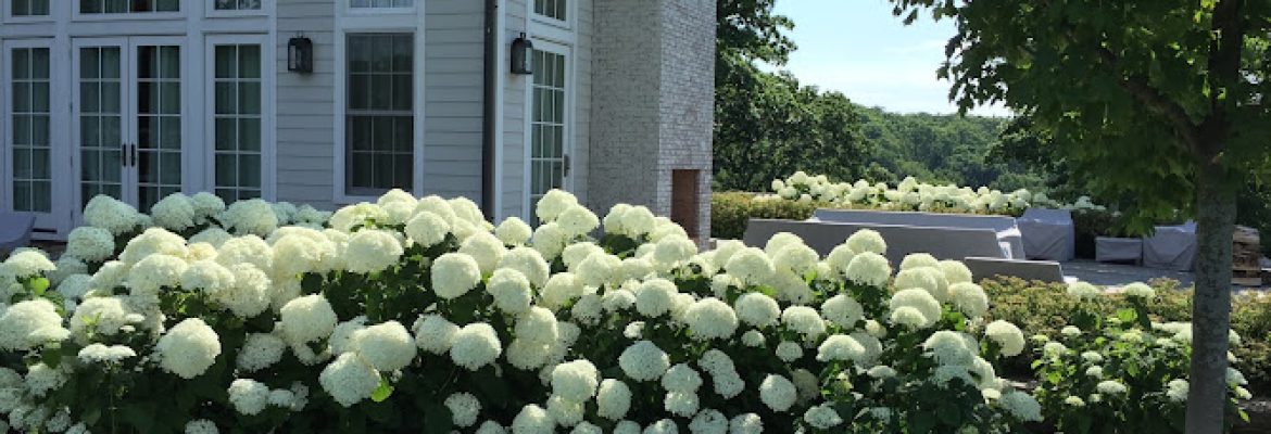 South Farms Nursery Inc