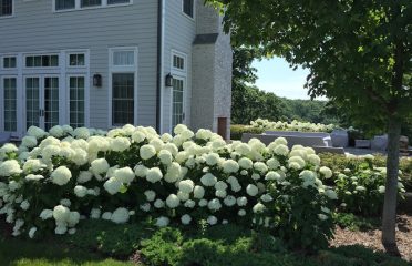 South Farms Nursery Inc