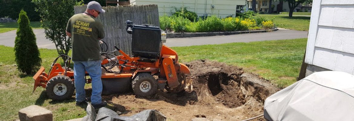 Schiavi Stump Grinding LLC