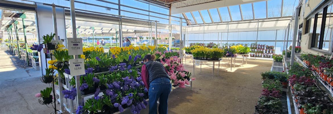 Van Wilgen’s Garden Center