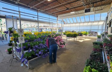 Van Wilgen’s Garden Center