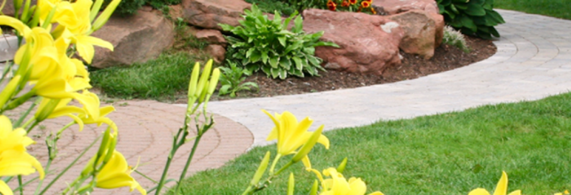 Phoenix Pest Control LLC
