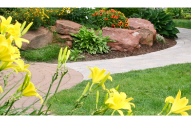 Phoenix Pest Control LLC