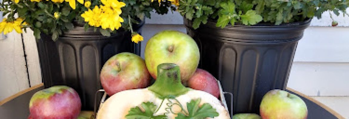 Woodstock Orchards and Bakery Barn