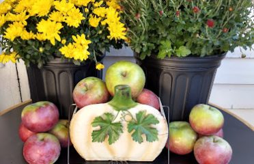 Woodstock Orchards and Bakery Barn