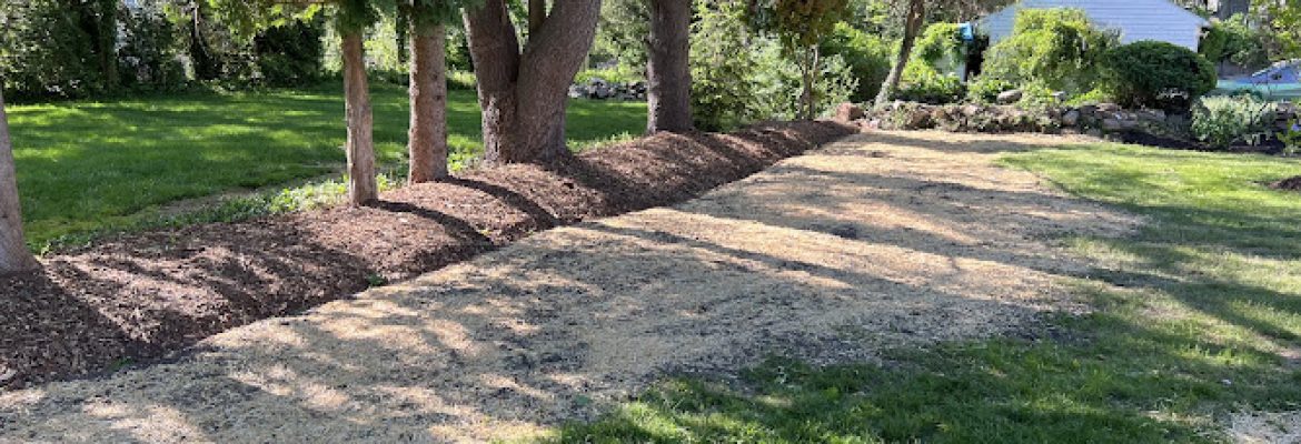 Cutting Edge Landscape & Lawncare LLC