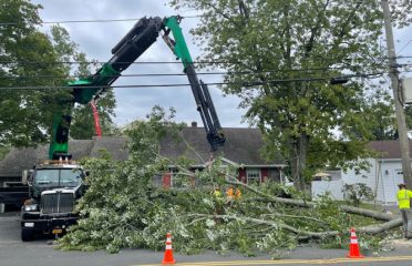 Arbor Green Tree Service