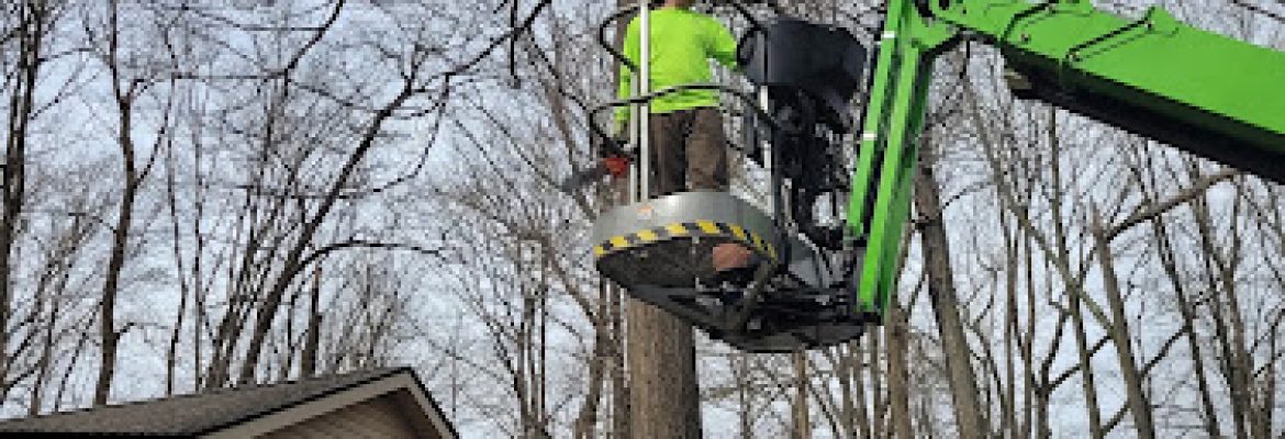 Branching Out Tree Care LLC
