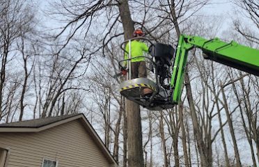 Branching Out Tree Care LLC
