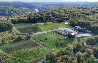 Aquila’s Nest Vineyards