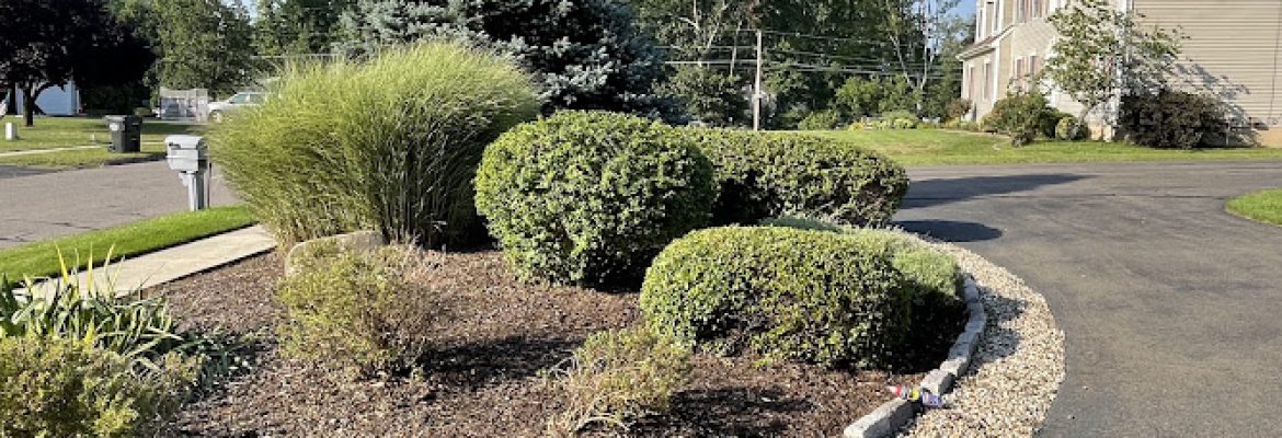 ABC Property Care LLC | All Paver Services You Need In One Place