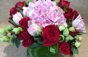 Flowers And Flowers by Adam
