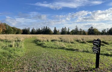 Topsmead State Forest