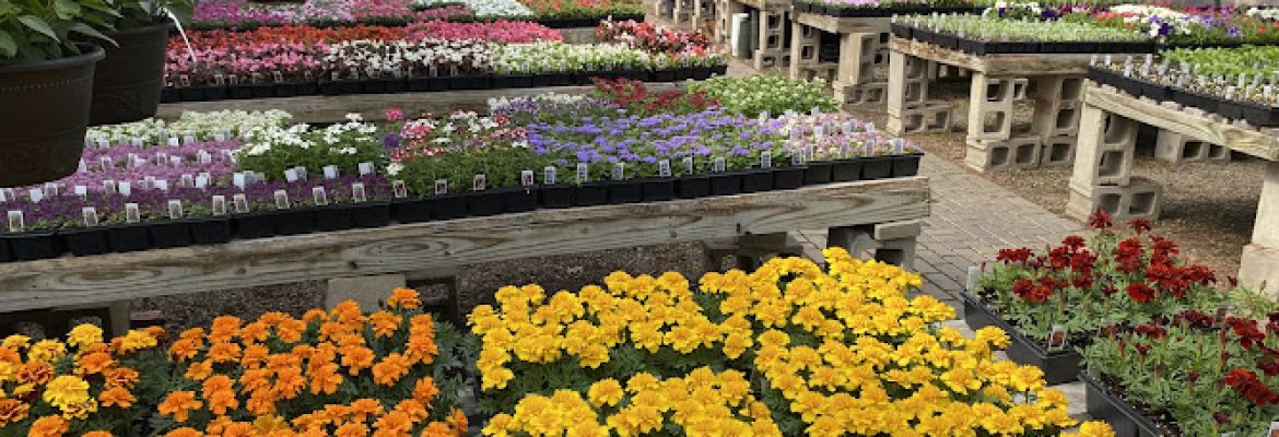 Wojtusik’s Nursery Garden Center & Christmas Shop
