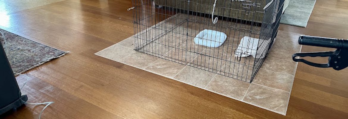 Bill Wildman Floor Covering Inc