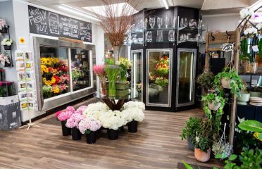 Stamford Florist