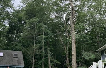 J. Witkowsky & Sons Tree Service LLC