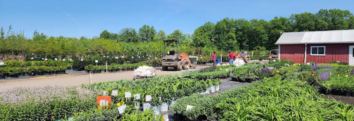 Northern Nurseries