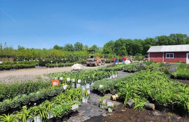 Northern Nurseries