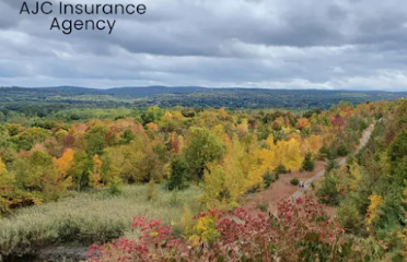 AJC Insurance