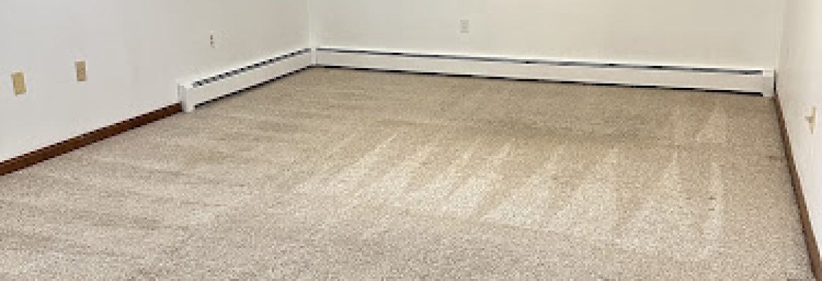 TRUEMAID CLEANING