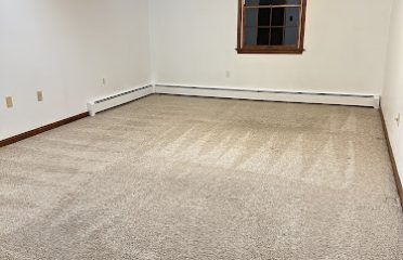 TRUEMAID CLEANING