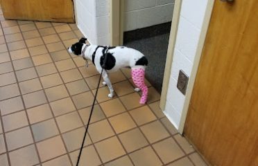 Norwalk Veterinary Hospital and The Boarding House