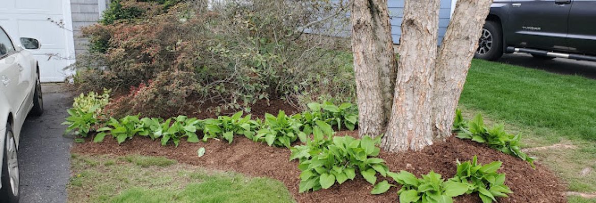 AAron’s Land Landscaping LLC