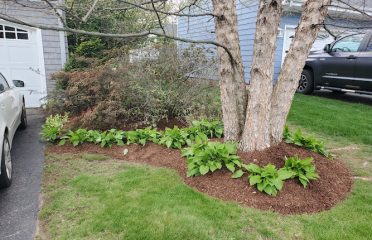 AAron’s Land Landscaping LLC