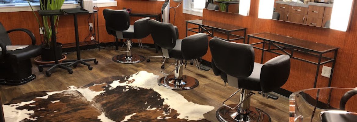 Phillip Bruce Salon