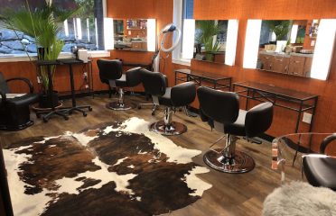Phillip Bruce Salon