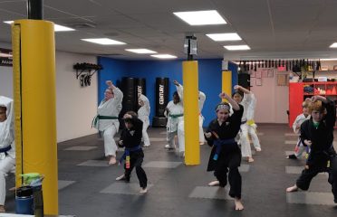 RISE Martial Arts Academy LLC