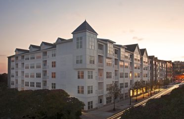 The Waypointe