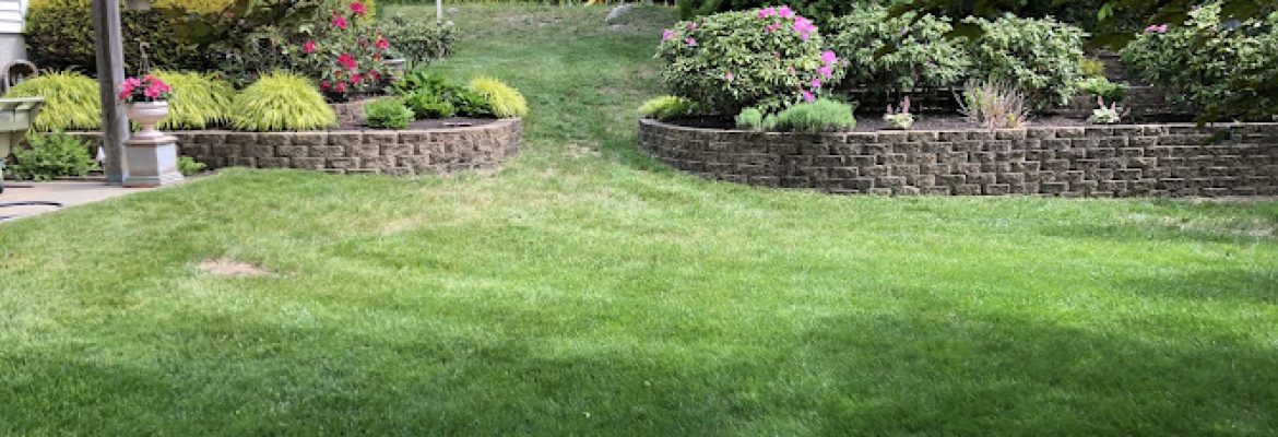Chamberlain Lawn & Property, LLC