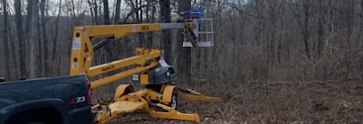 Patterson land clearing LLC