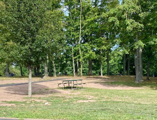 Wolcott Park