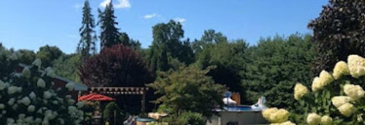 Paradise Landscaping LLC