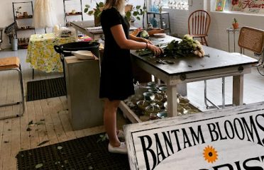 Bantam Blooms