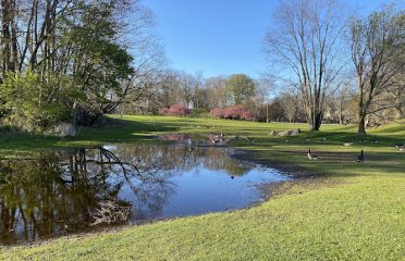 Cummings Park